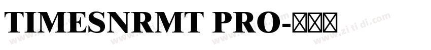 TIMESNRMT PRO字体转换